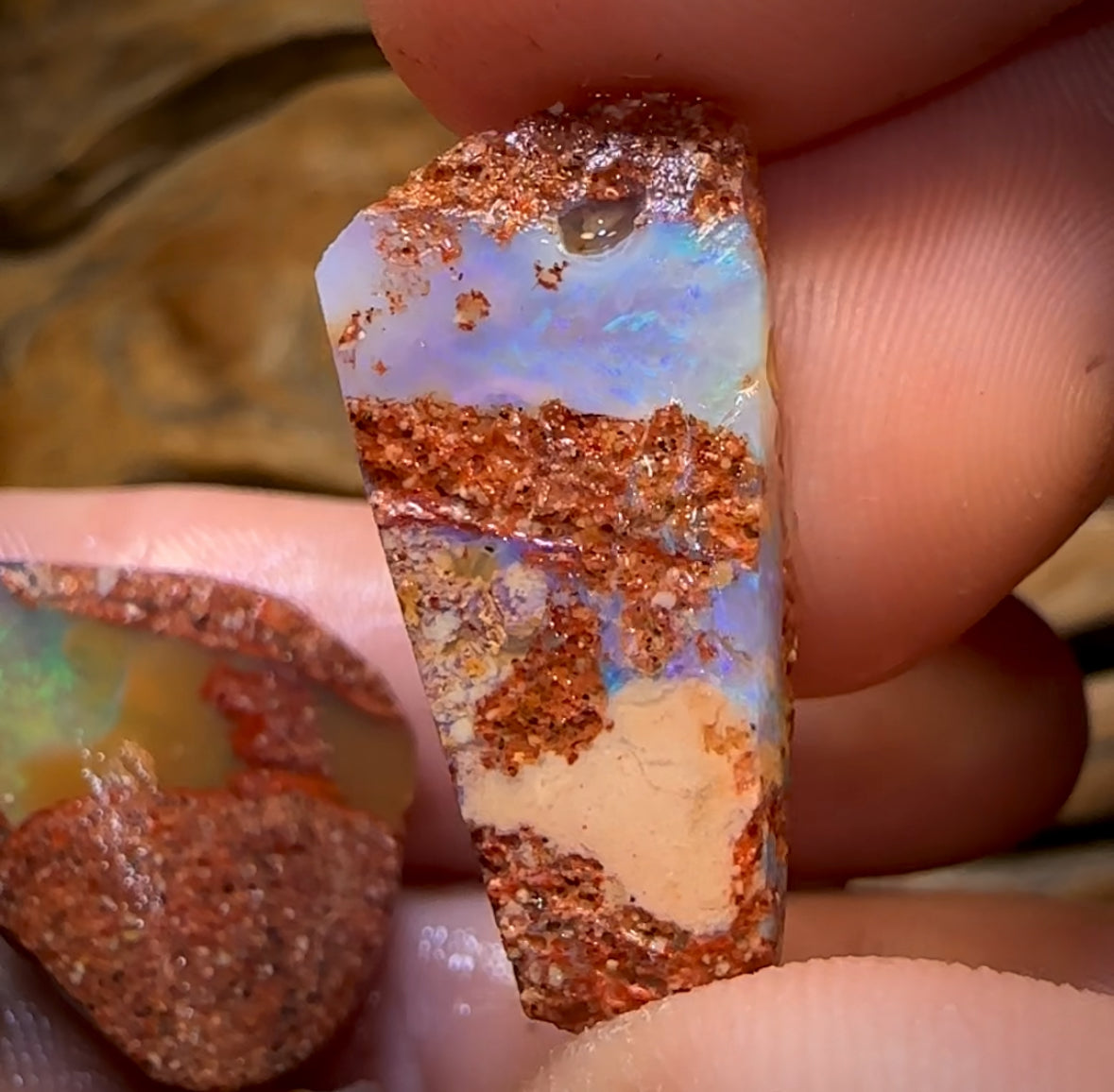 68.2cts - 5x Queensland Boulder Pipe Opal Rough Parcel