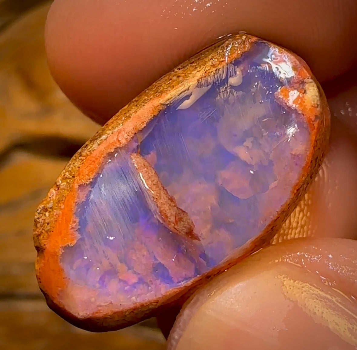 Bargain Card! 30.5cts - Boulder Pipe Opal Rough Piece. Australian Opal