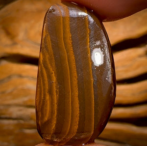 🔨 AUCTION 🔨 Reserve 💎 High Roller Banger Auction 💎  Beauty 40.5cts - Top Queensland Boulder Seam Opal Rub