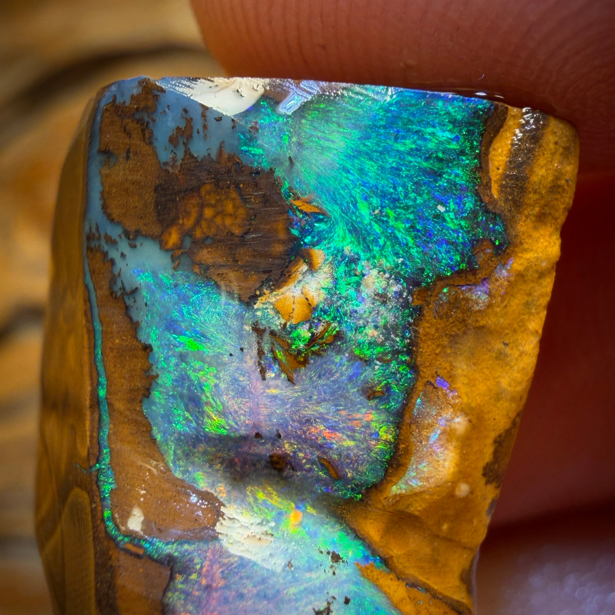 36,6 cts - Opale Boulder de la couche de Queensland (Opal Rub)