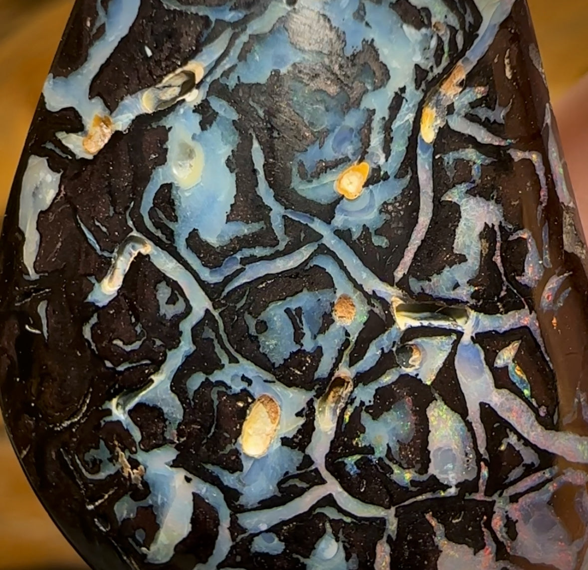 71.4cts - Rare Tribal Black Boulder Opal from Koroit