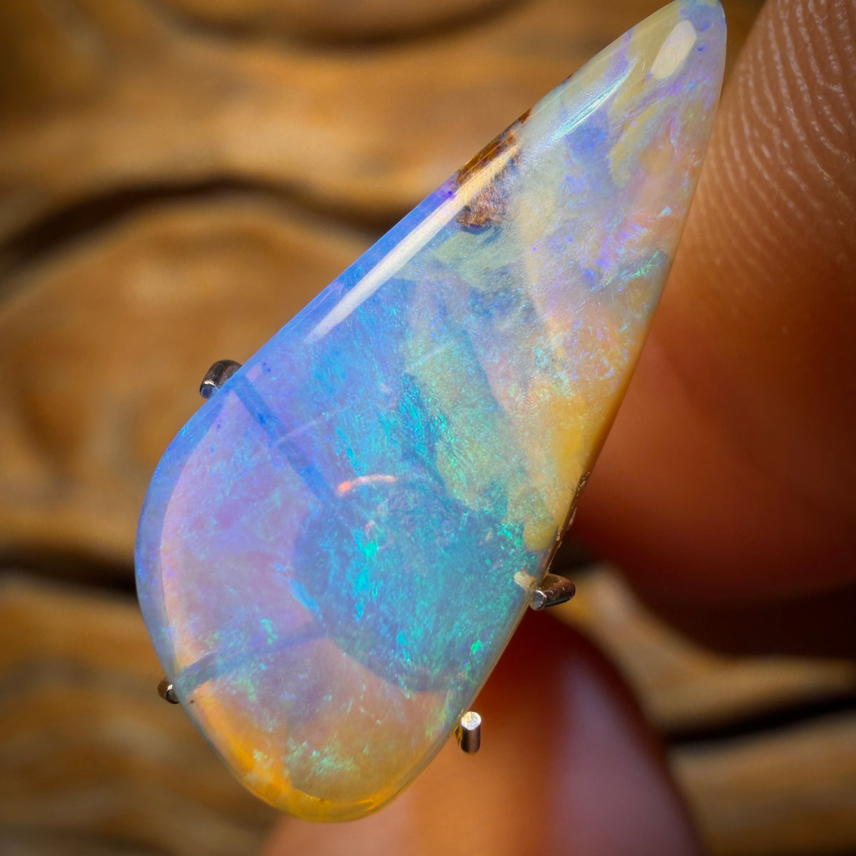4.5cts - Wood Fossil Replacement Boulder Opal from Yowah