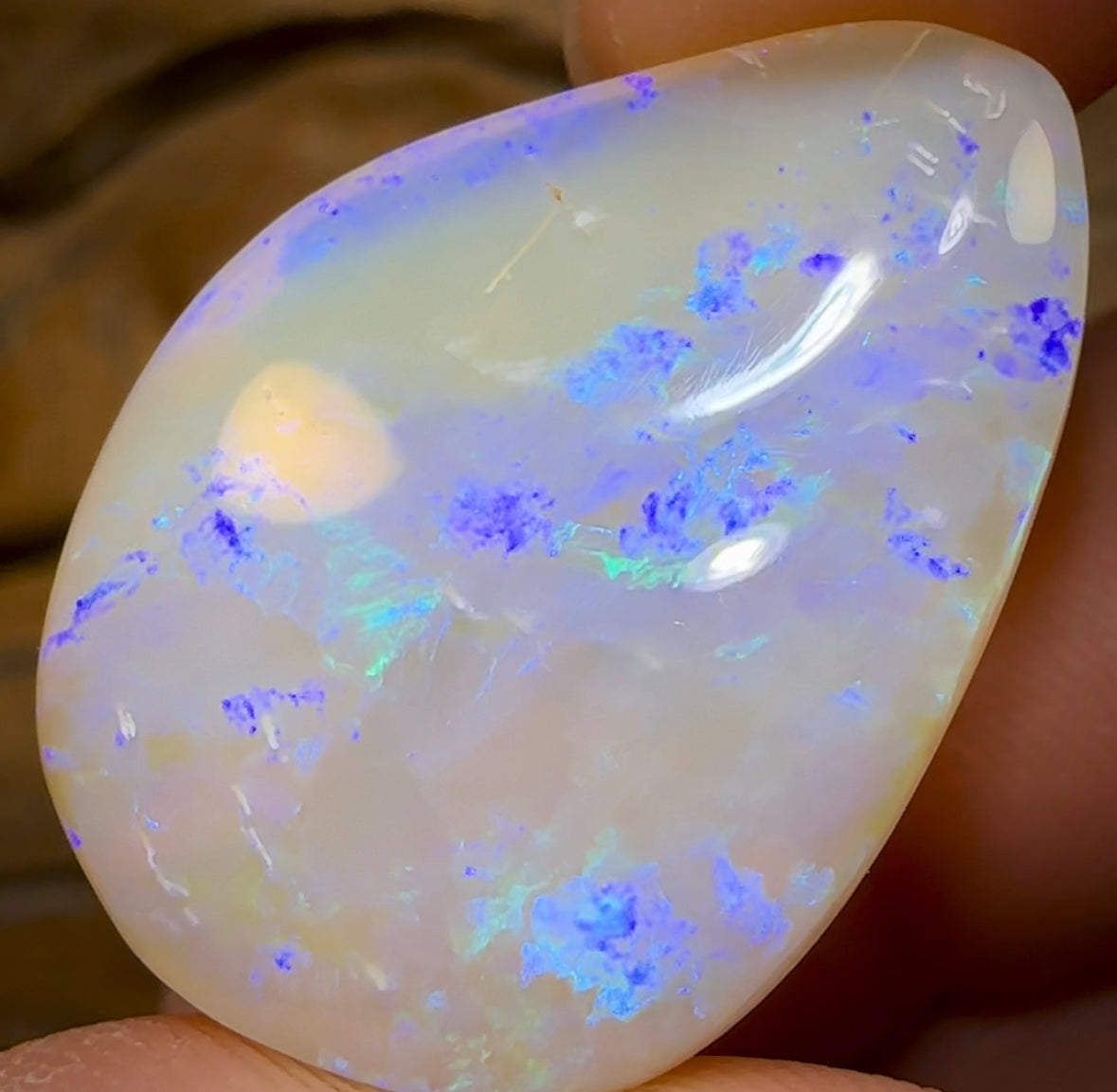 21.2cts - Lightning Ridge Crystal Opal - Opal Whisperers