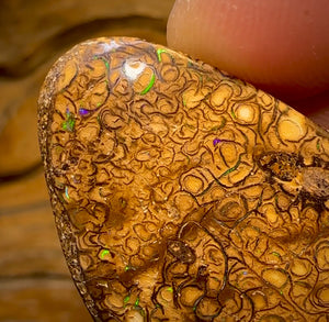85.1cts - Large Tan Tribal Yowah Nut Opal