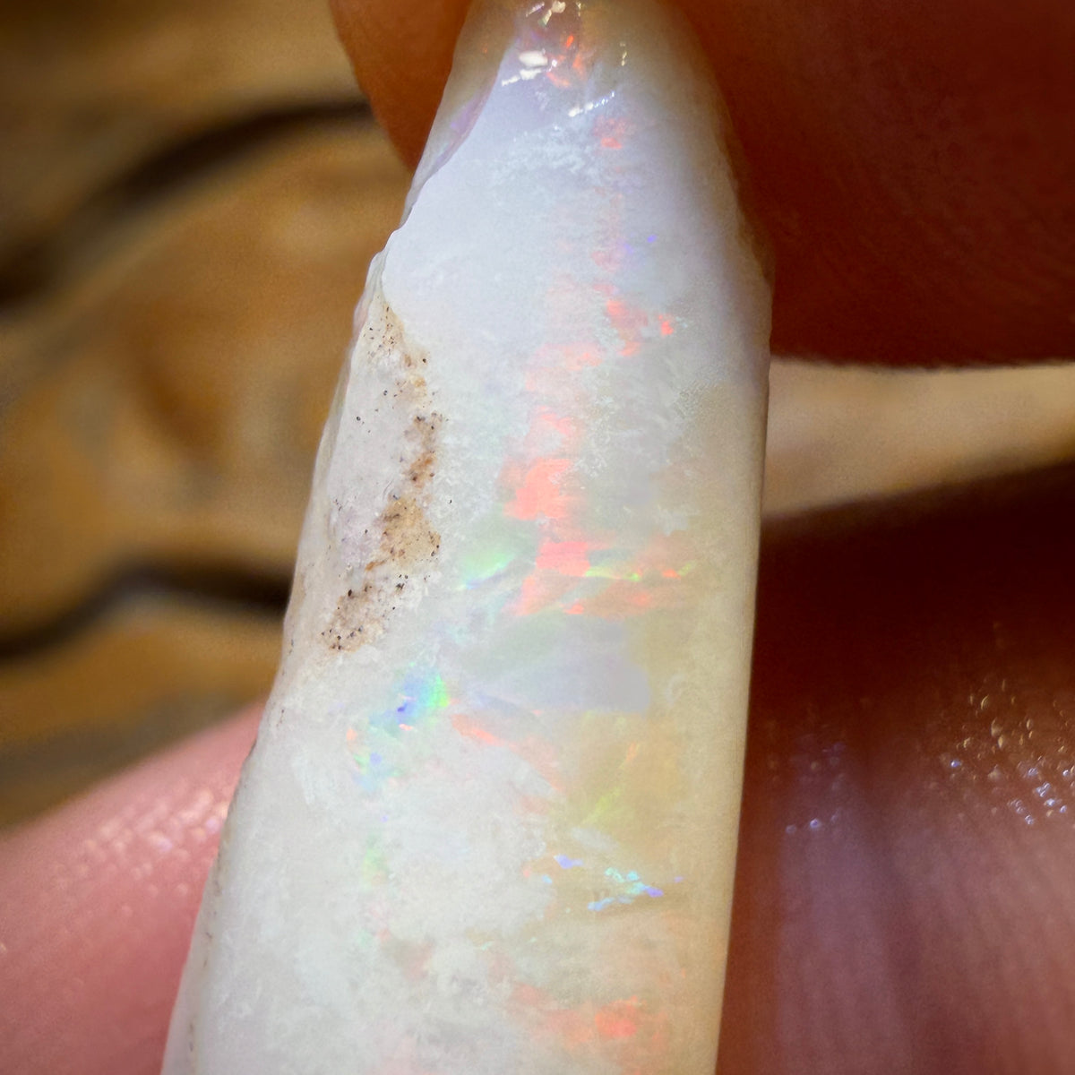 11.8cts - Opalised Belemnite Geological Specimen from South Australia