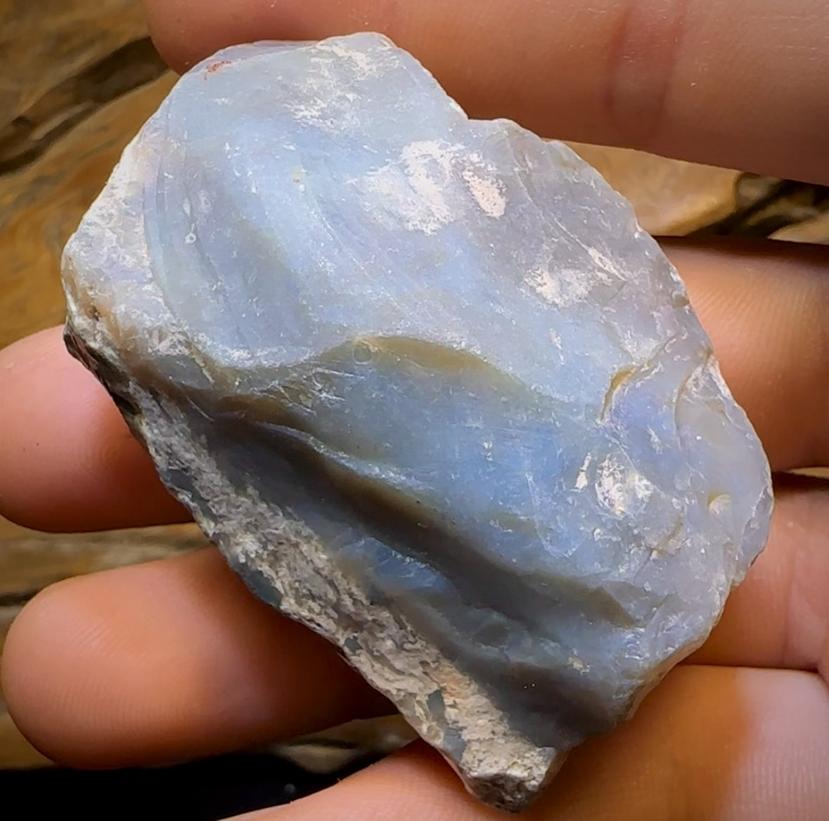 Auction Fall-Through = Your Gain! 🔥 Now More Than 50% Off RRP 🚨 310.5cts - LARGE Lightning Ridge Black Potch Opal Rough Piece