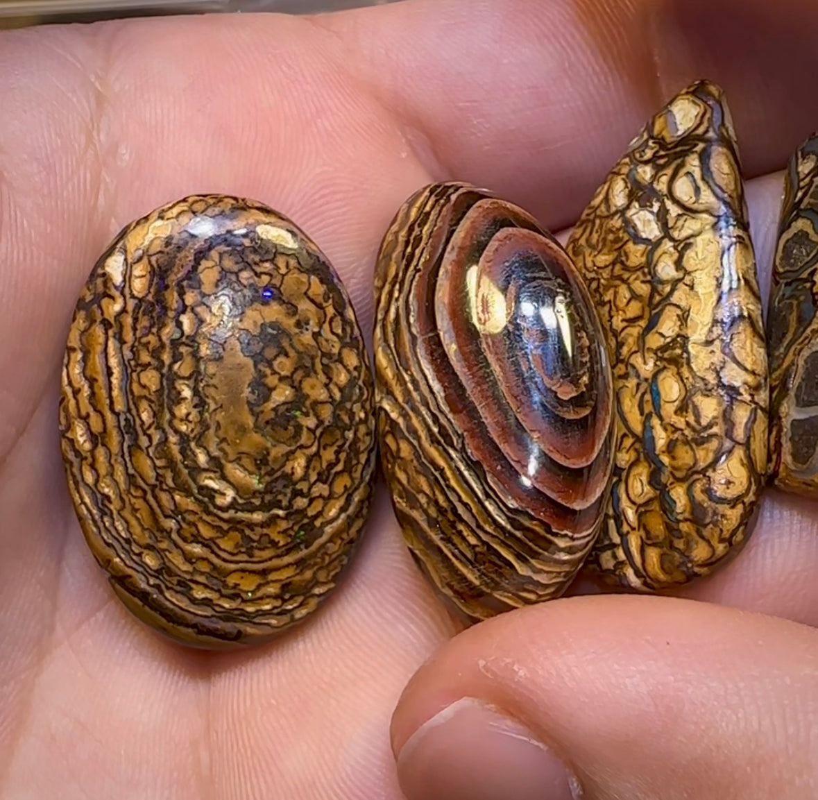 Yowah Tribal Opal Parcel. BULK LISTING - 5 FOR $499 PLUS 6th ONE FREE!!! - Opal Whisperers