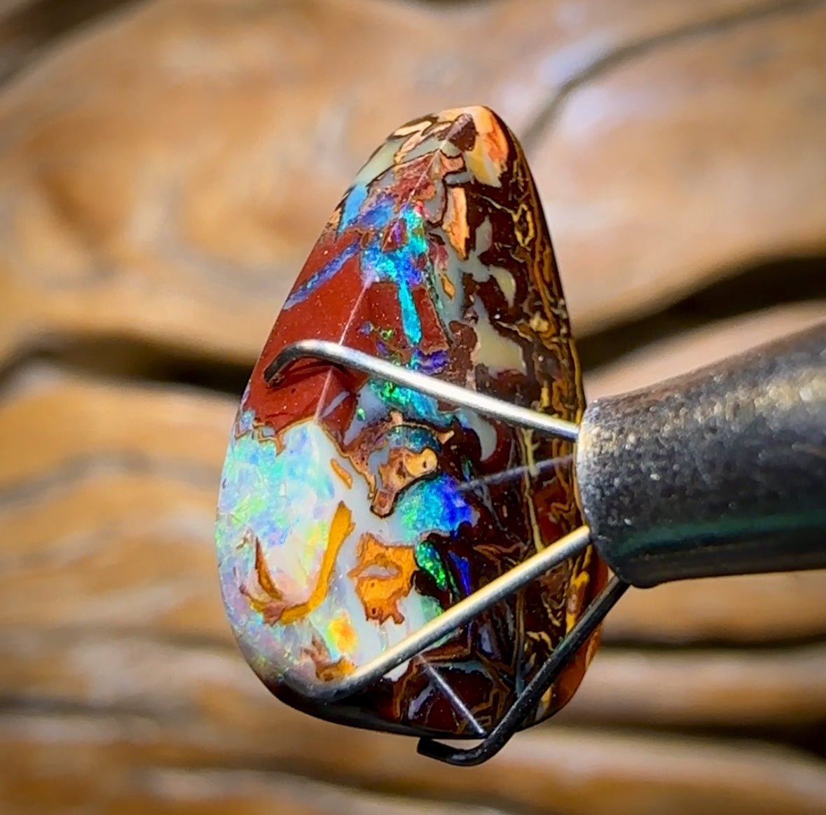 🔨 AUCTION 🔨 9.9cts - Yowah Nut Kernel Opal