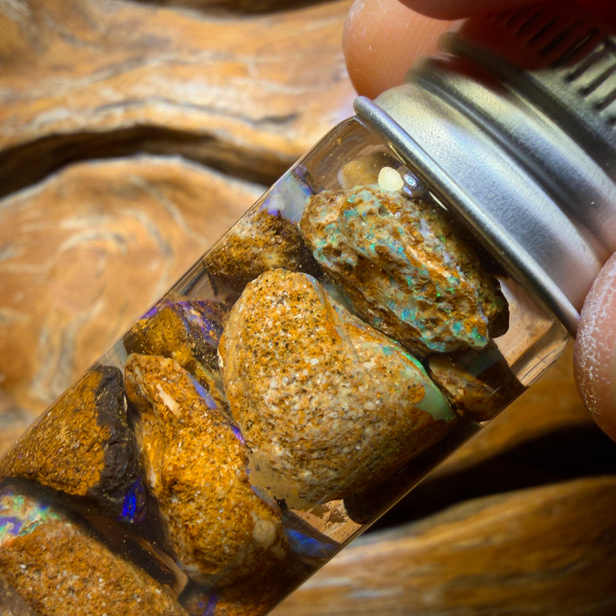 69.4cts - Jar of Yowah Nut Opal Rough w/ Fossil Opal