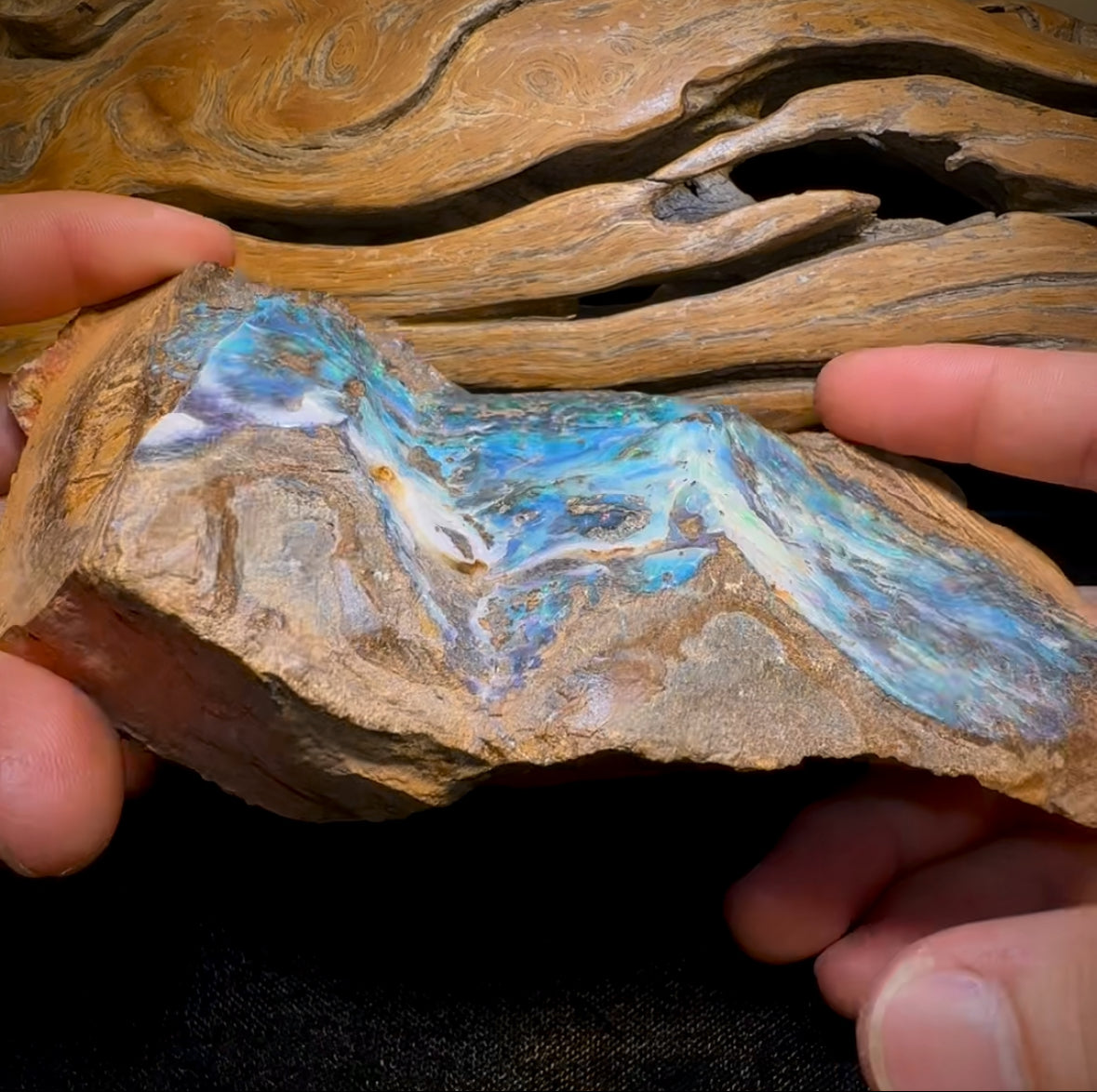 961.1g - HUGE Queensland Boulder Seam Opal Rough Specimen