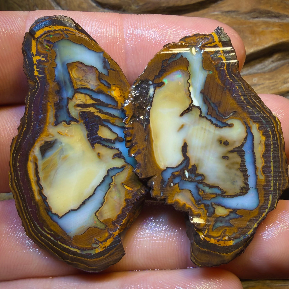 Dad Card! 159cts - Yowah Nut Rough Specimen Pair