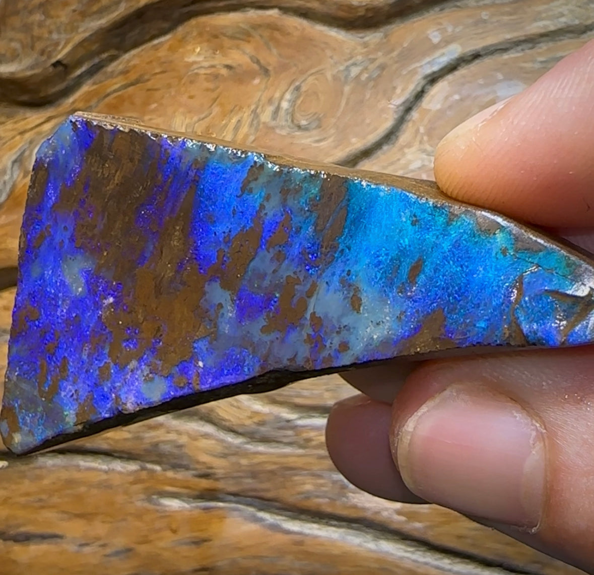 211.9cts - Queensland Boulder Opal Rough Rub Preform - Opal Whisperers