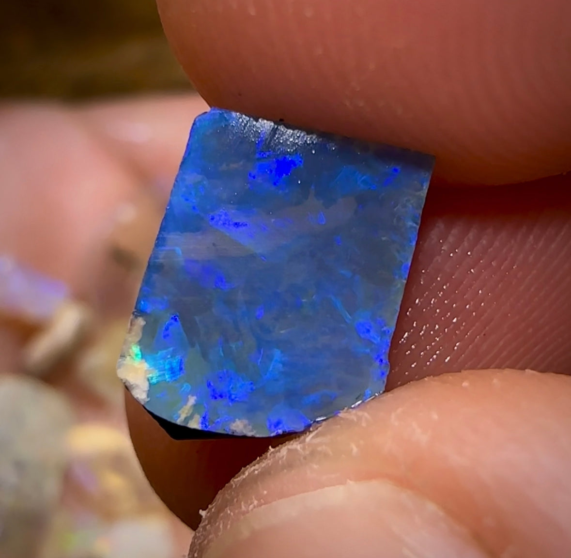 The 48.5cts - 40+ pieces Lightning Ridge Crystal Opal Rough - Opal Whisperers