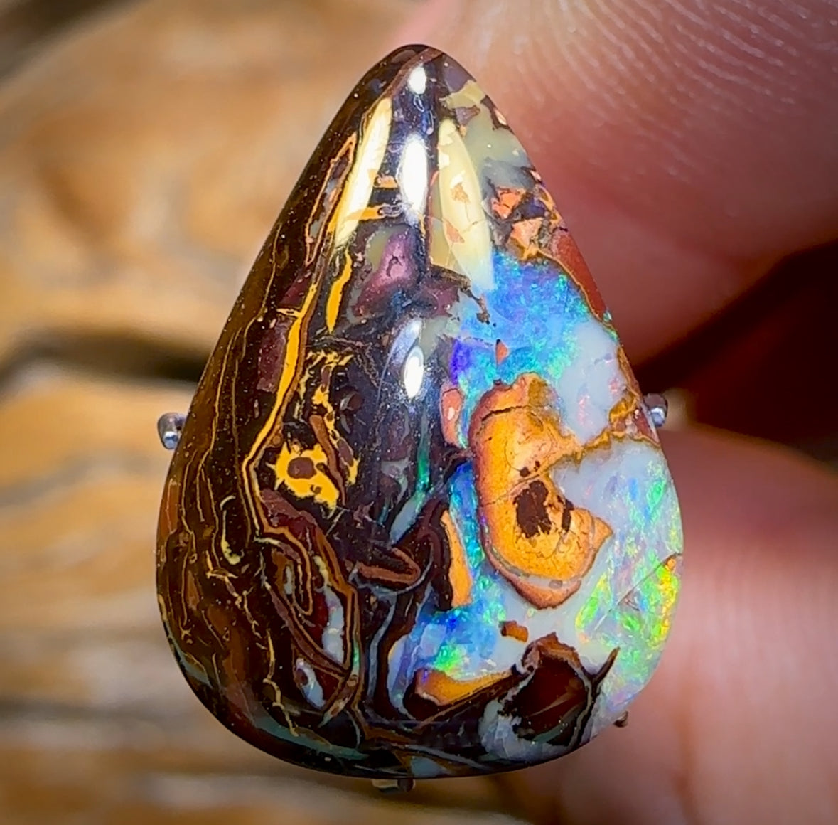 🔨 AUCTION 🔨 9.9cts - Yowah Nut Kernel Opal