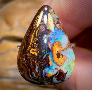 🔨 AUCTION 🔨 9.9cts - Yowah Nut Kernel Opal