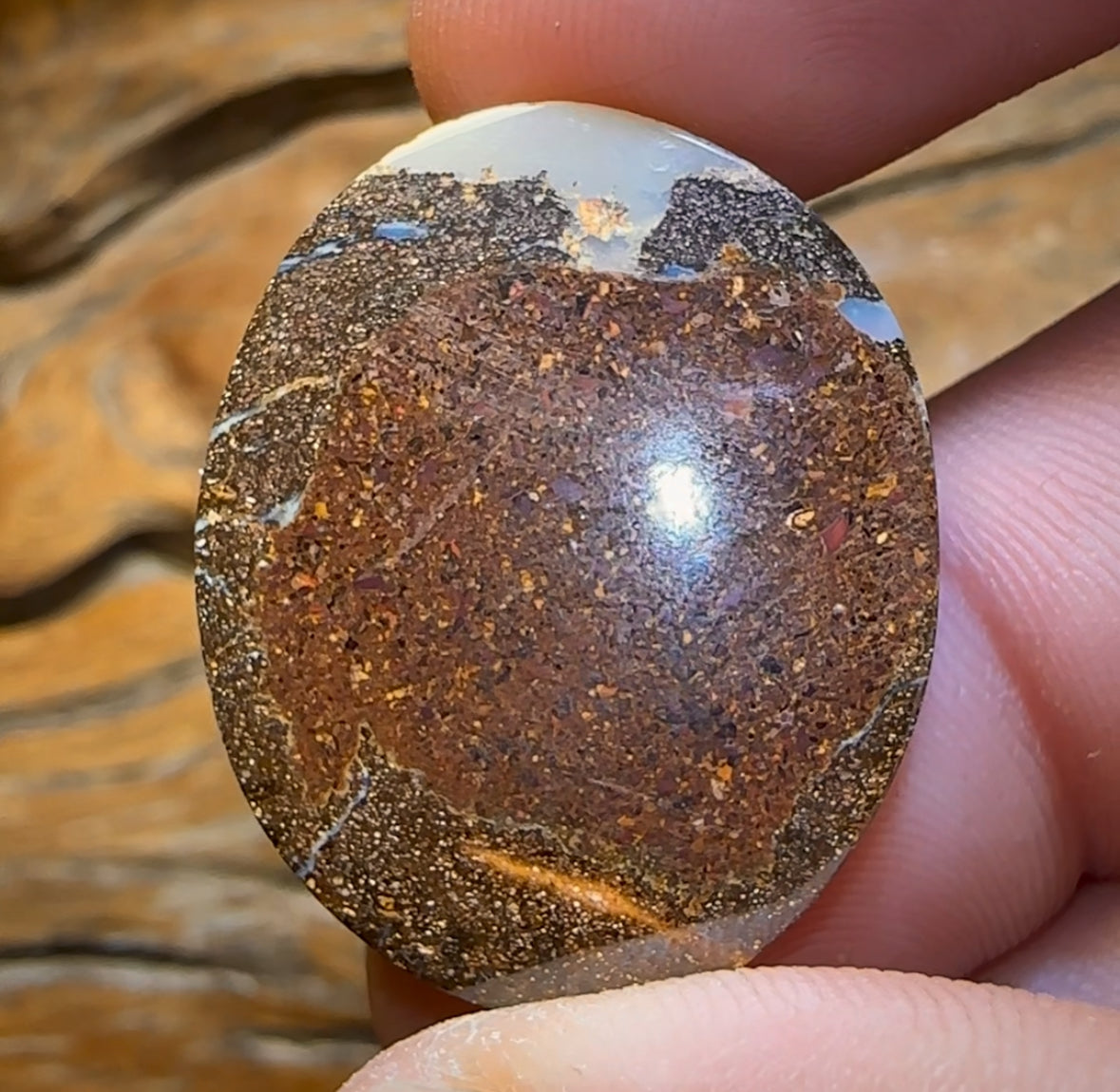 🔨 AUCTION 🔨 No Reserve 35.4cts - “Zig Zag”Queensland Boulder Seam Opal