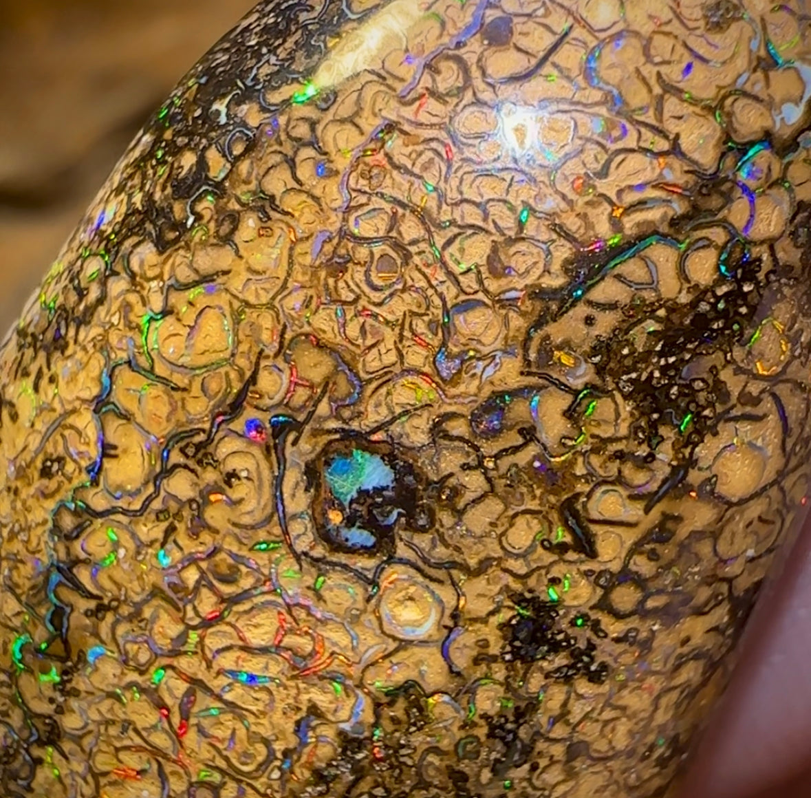 127.8cts - Large Yowah Nut Intricate Tribal Australian Boulder Opal. - Opal Whisperers