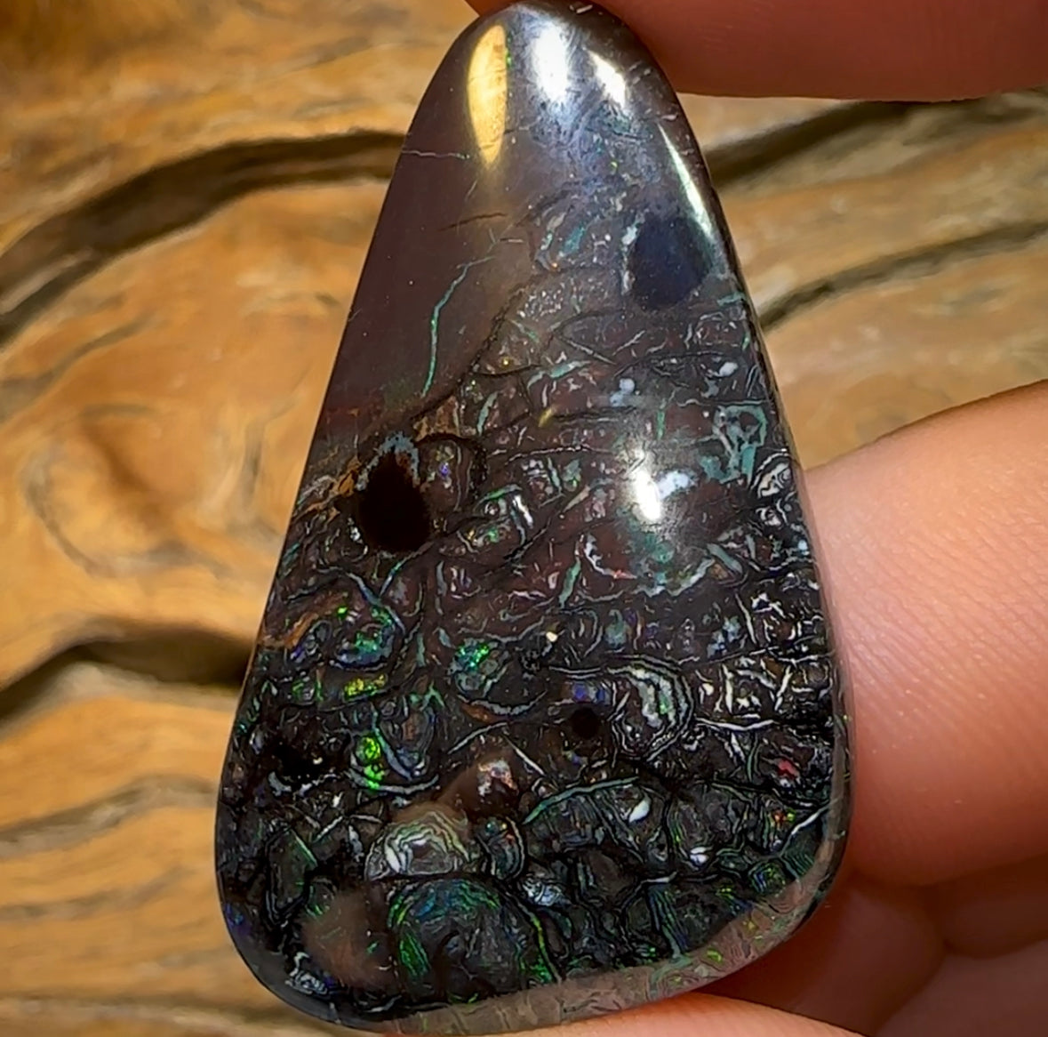 77.5cts - Tribal Queensland Boulder Opal from Koroit - Opal Whisperers
