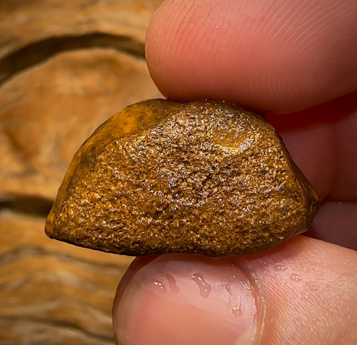 41.2cts - Yowah Nut Crystal Centre Rough Specimen