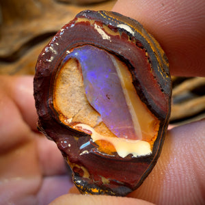Awesome 🔨 AUCTION 🔨 Action  145cts - 3x Yowah Nut Rough Opal Parcel. Fossil and Kernel!