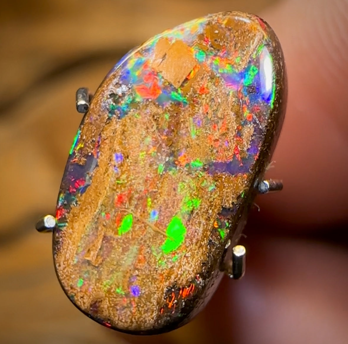 2.63cts - Queensland Boulder Seam Opal from Winton With Red