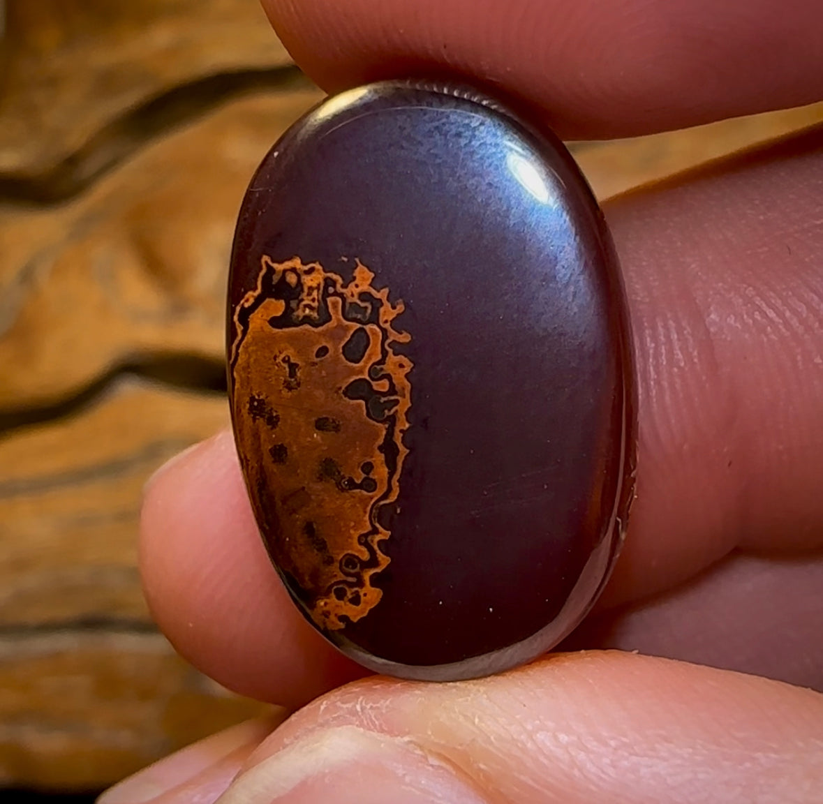 59.7cts - Tribal Boulder Opal - Opal Whisperers