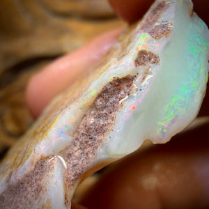 Wild Card! 42.1cts - Large South Australian White Opal Rough Piece