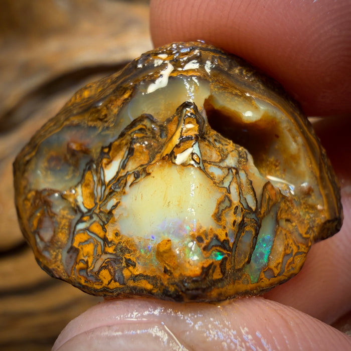 42.7cts - Tribal Yowah Nut Opal Rough Piece