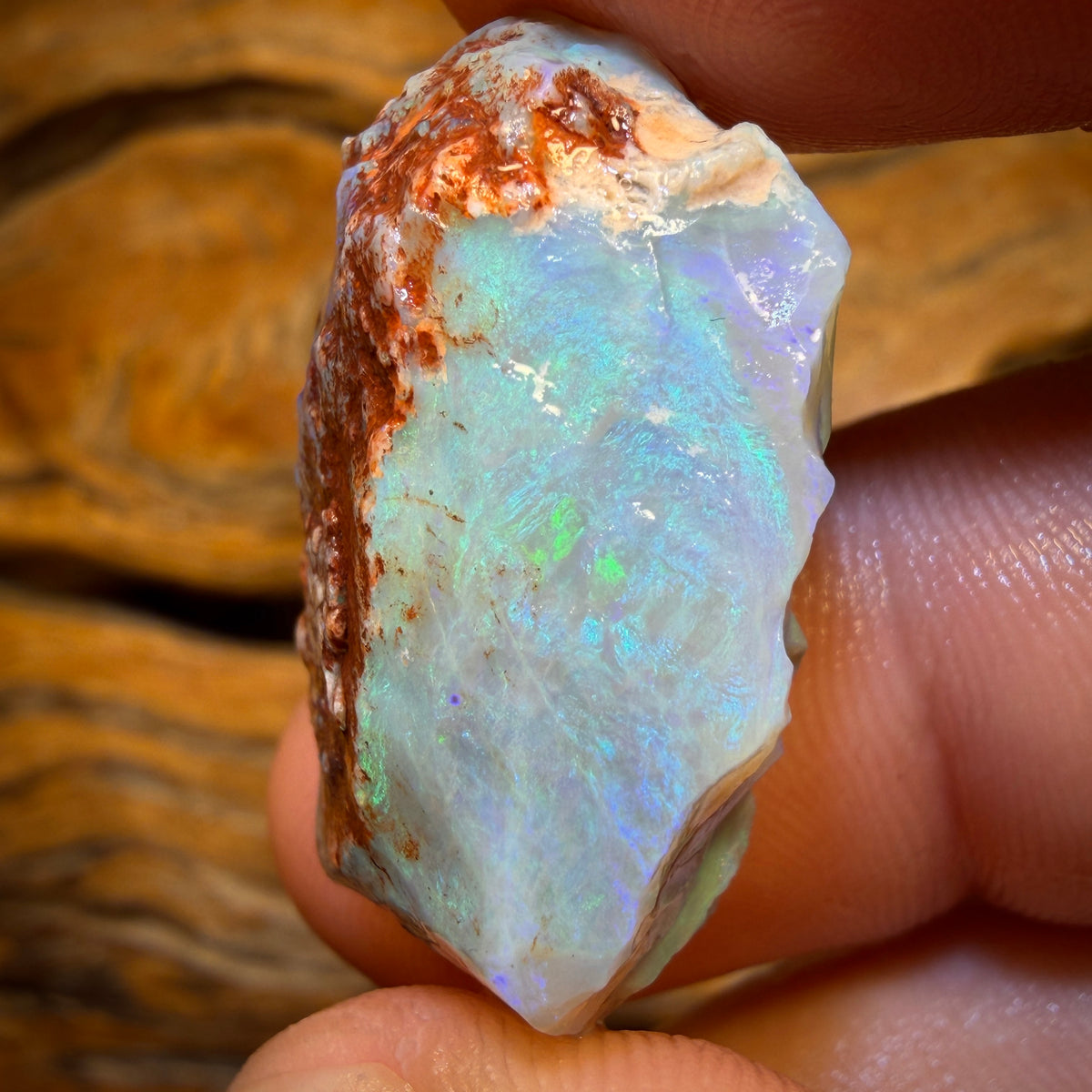 42.8cts - Lightning Ridge Opal Rough Piece
