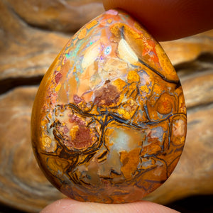42.9cts - Tribal Queensland Boulder Opal from Yowah