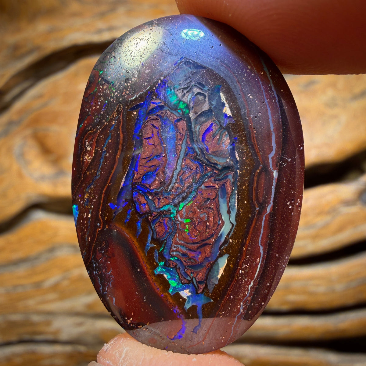 42.9cts - Yowah Nut Kernel Opal. Double Sided