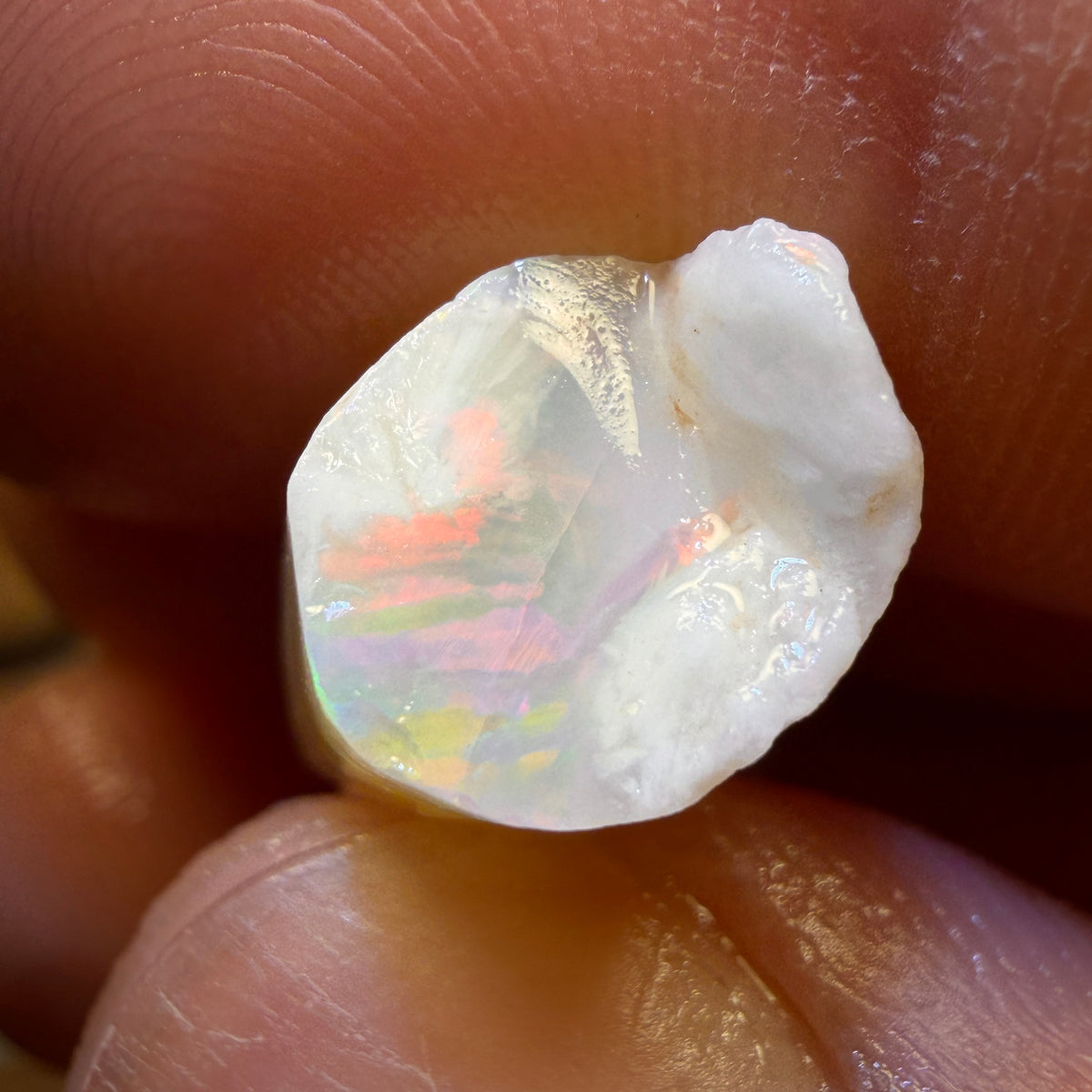 11.8cts - Opalised Belemnite Geological Specimen from South Australia