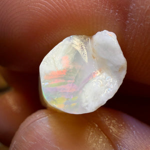 11.8cts - Opalised Belemnite Geological Specimen from South Australia