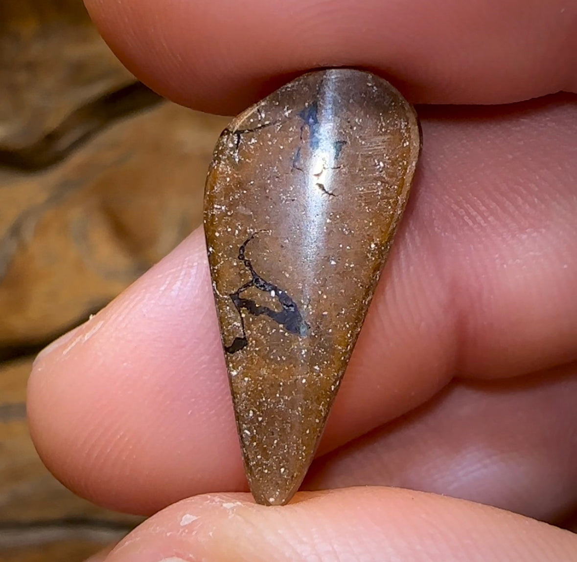 12.5cts - Queensland Boulder Opal from Winton - Opal Whisperers