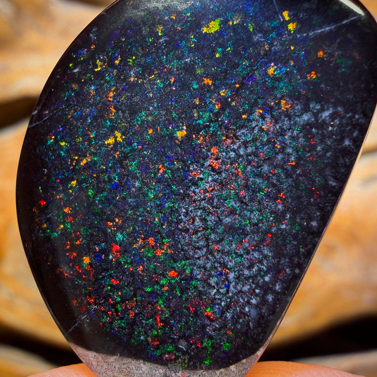 “Set in Stone” - Private Collector Acquisition- “Universe” 39.1cts - Rare Black Boulder Opal from Yowah