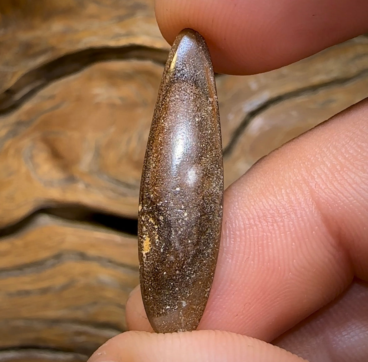9.2cts - “Malibu” Koroit Nut Australian Boulder Opal - Opal Whisperers