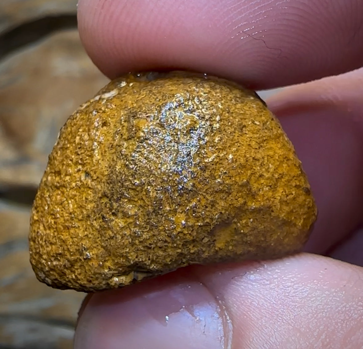 44.3cts - Yowah Nut Crystal Centre Rough Specimen