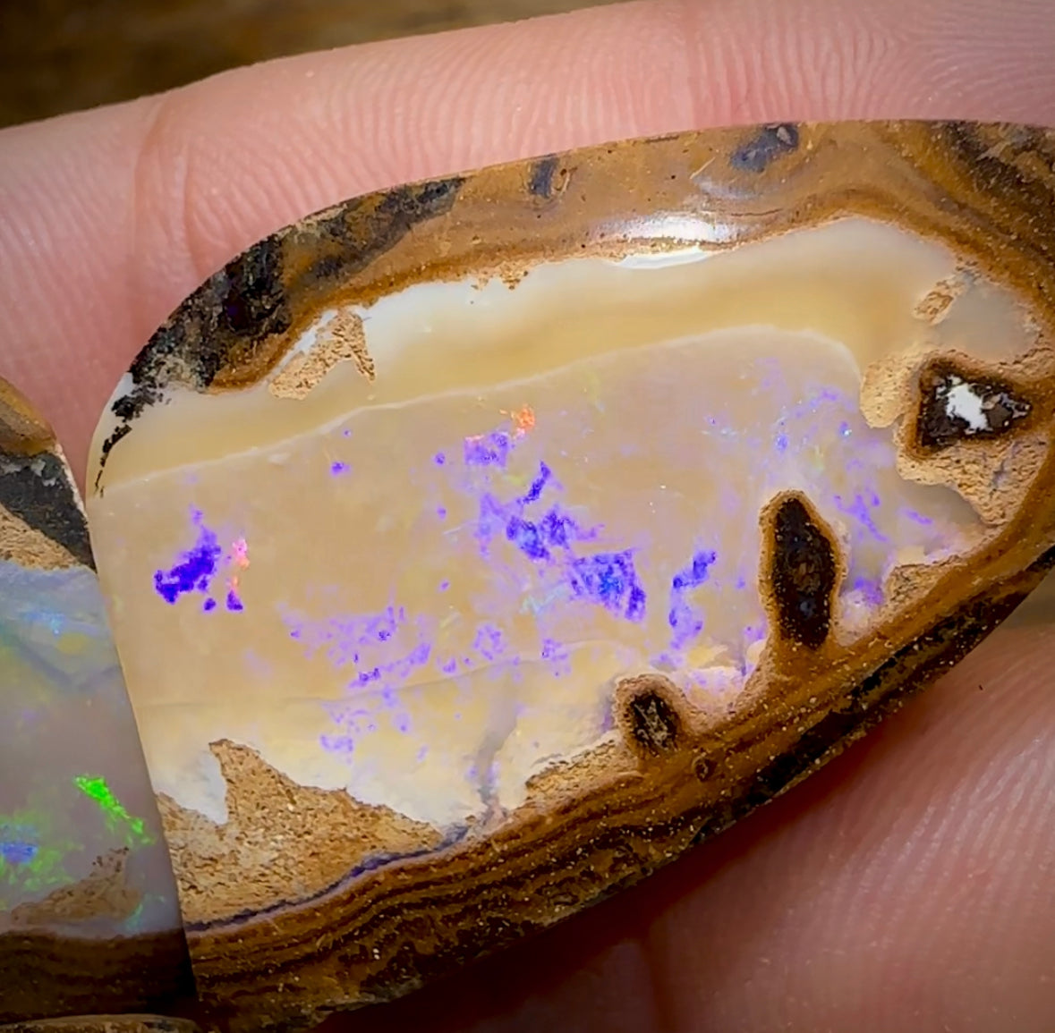 167.1cts - ‘Tiger Moth’ Yowah Nut Crystal Centre Opal Twin Pair - Opal Whisperers