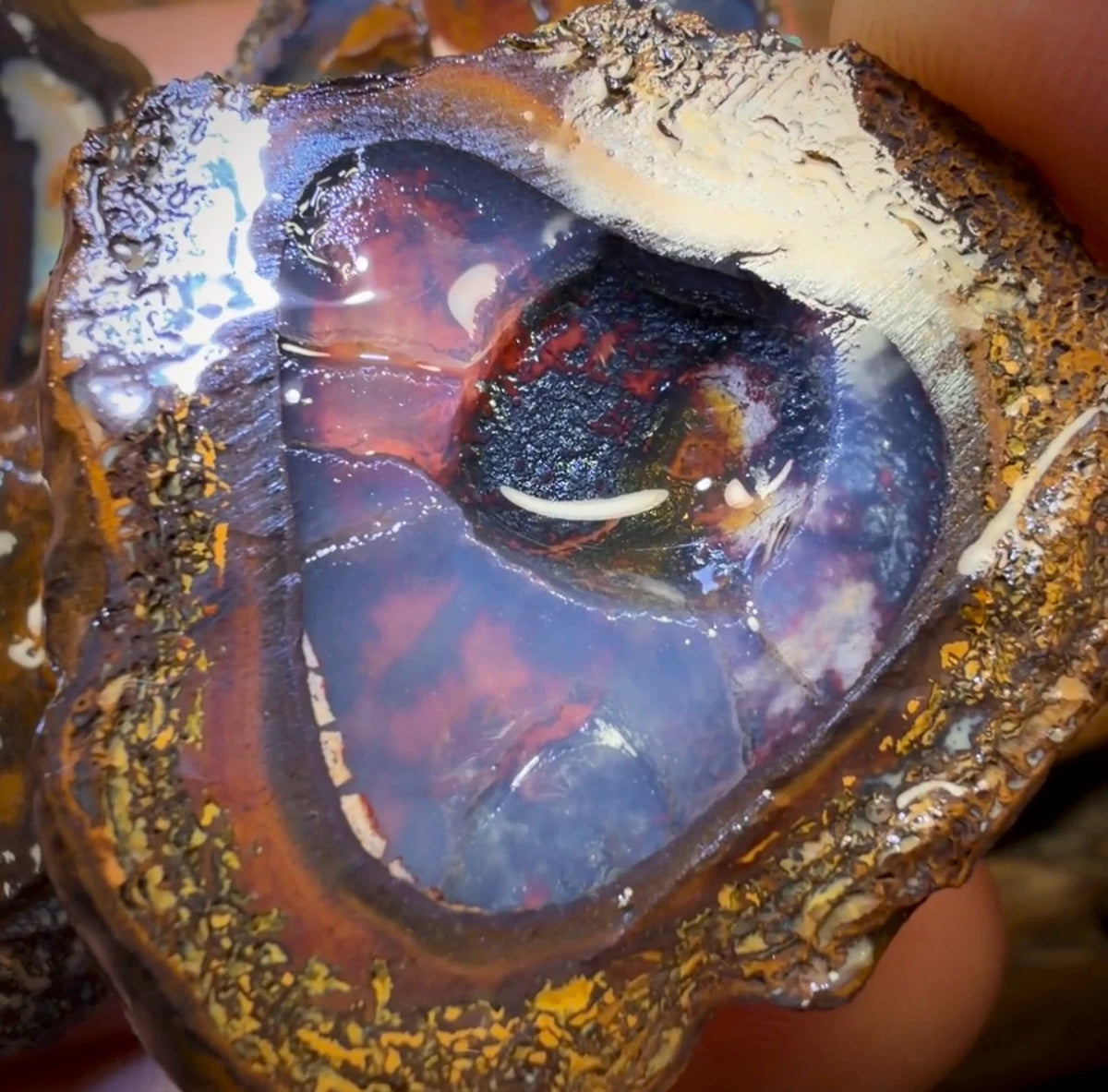 🔒152.7cts - 4x Yowah Nut Partial Crystal Centre Rough Specimen Parcel