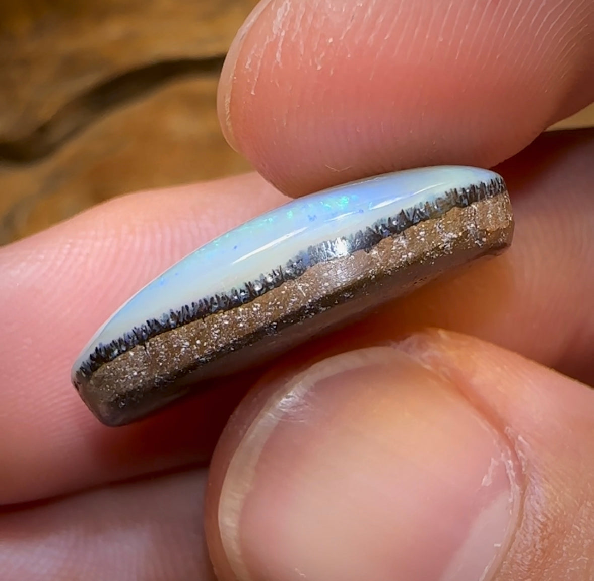 18.6cts - “Currents” Queensland Boulder Seam Opal - Opal Whisperers