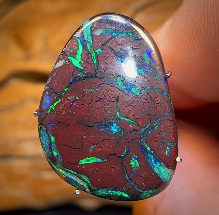 🔨 AUCTION 🔨 7.7cts - Electric Green on Desirable Red Ironstone Tribal Australian Boulder Opal from Yowah