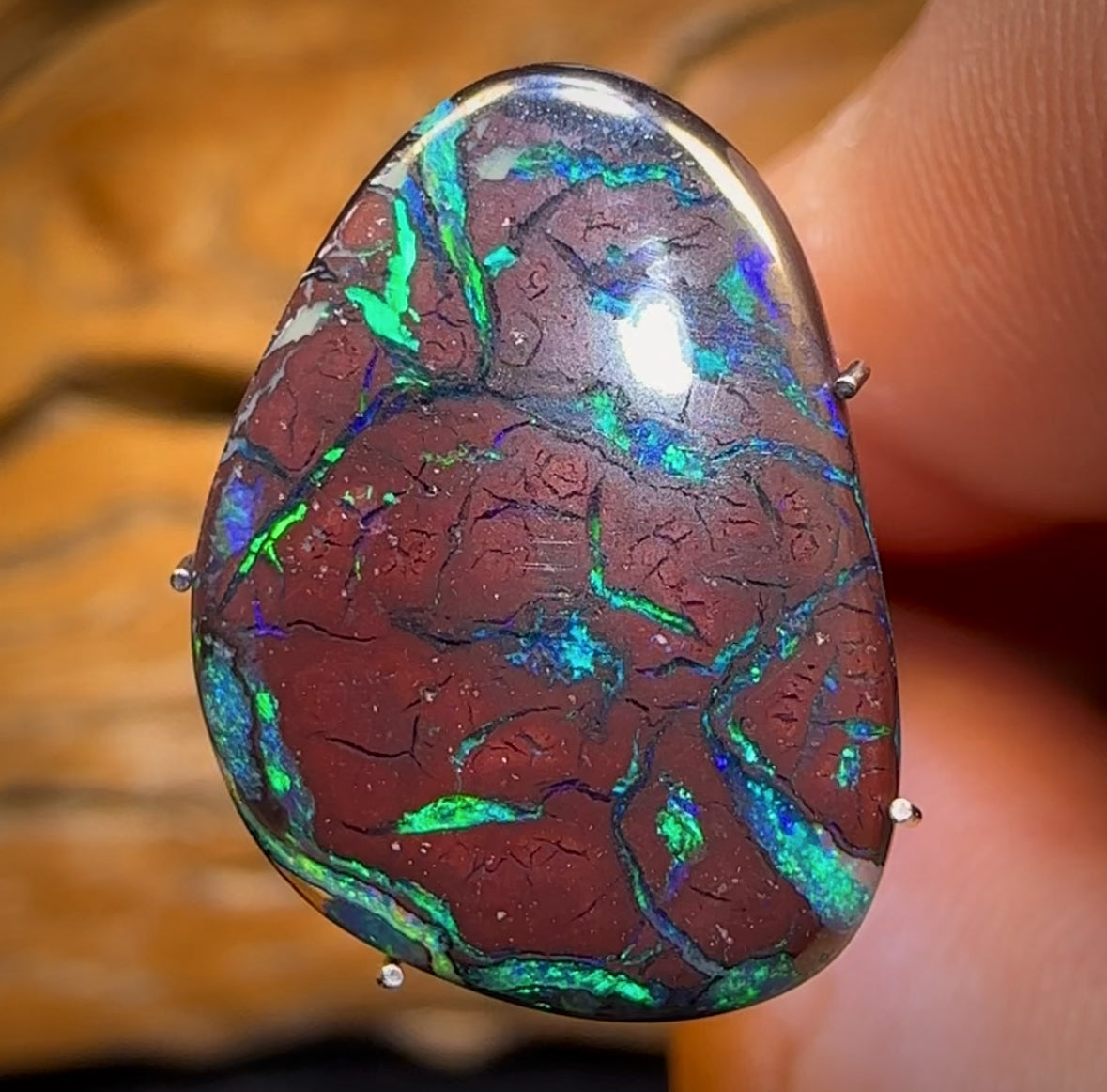 7.7cts - Electric Green on Desirable Red Ironstone Tribal Australian Boulder Opal from Yowah