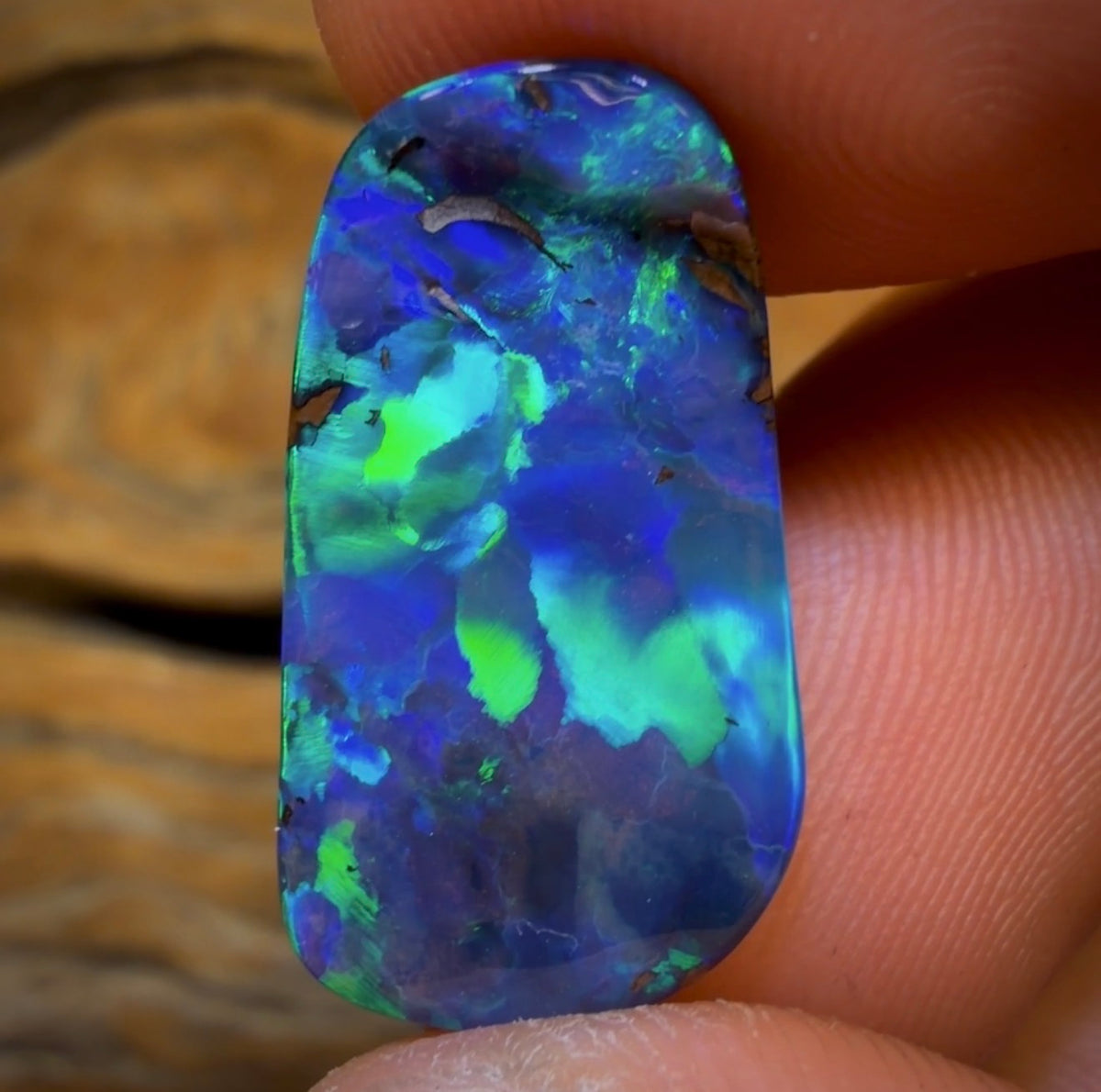 9.2cts - Best of the Best Blue Green GEM Queensland Boulder Seam Opal