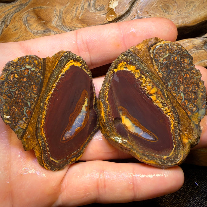 428cts - RARE Yowah Nut Partial Crystal Centre Rough Specimen Pair