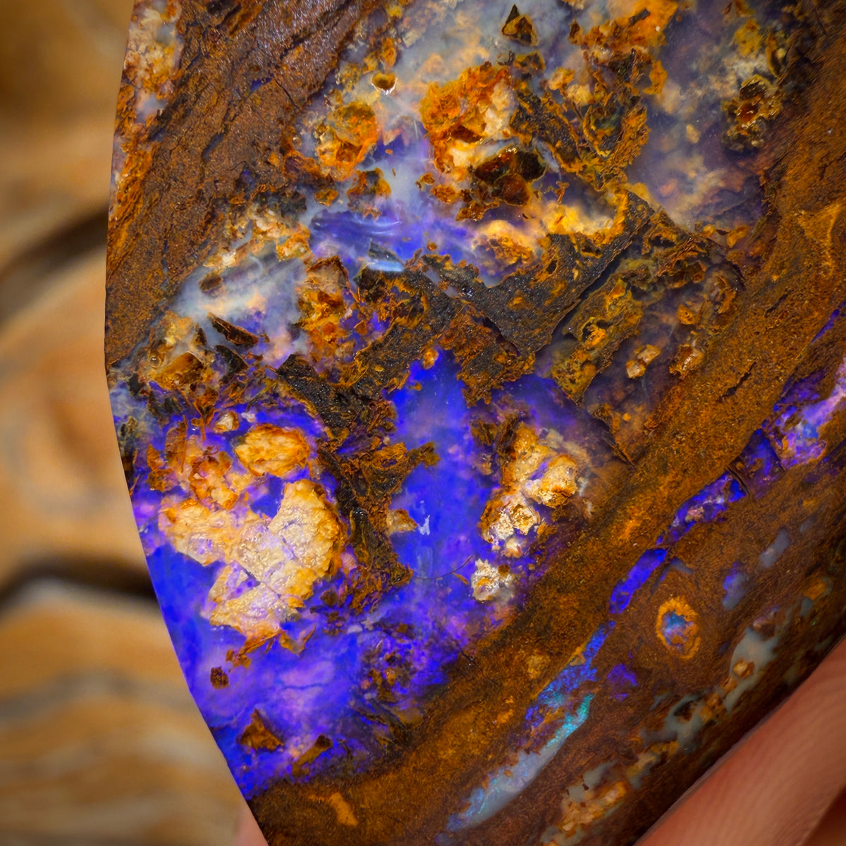 52.6cts - Vegetation Fossil Replacement Boulder Opal Rub. Double Sided!