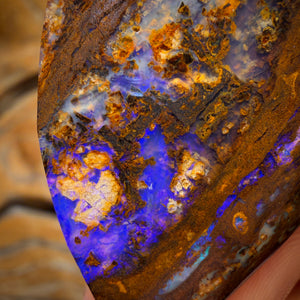 52.6cts - Vegetation Fossil Replacement Boulder Opal Rub. Double Sided!