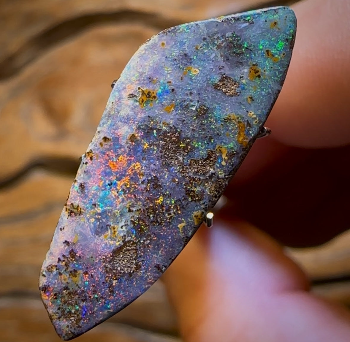 9.15cts - Queensland Boulder Seam Opal