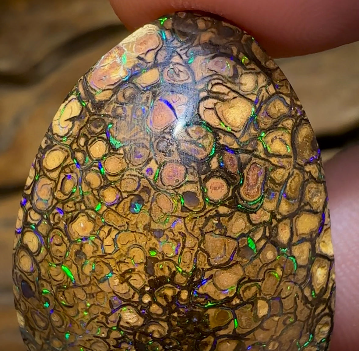 50.5cts - Yowah Nut Tribal. Australian Boulder Opal - Opal Whisperers