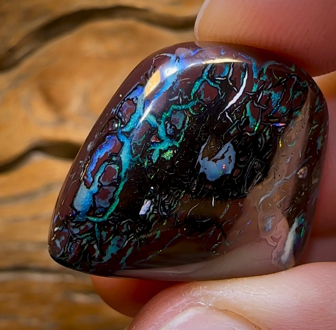 53.1cts - Tribal Queensland Boulder Opal Wonderful Picture Stone from Koroit