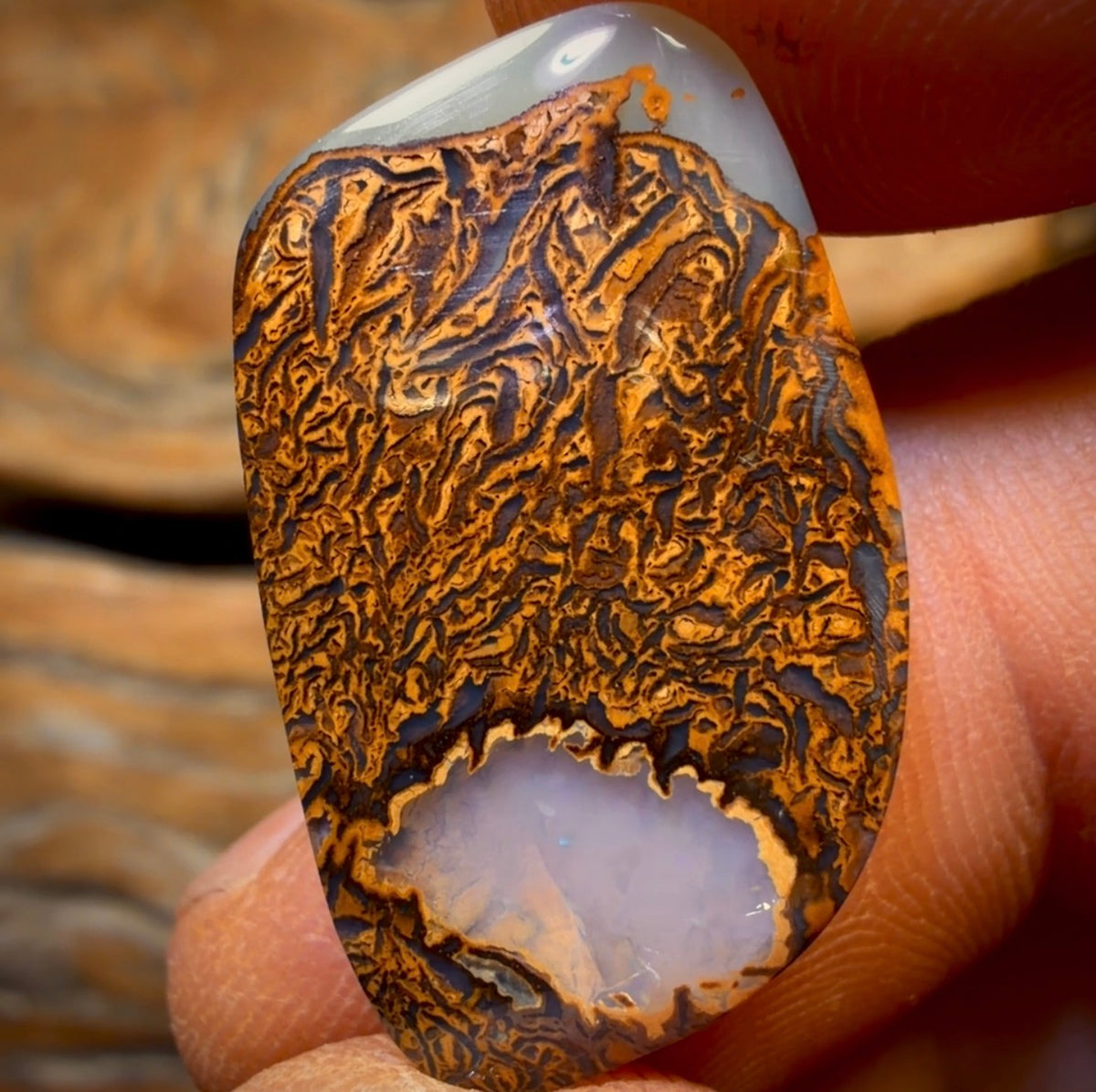 19.3cts - Queensland Boulder Opal from Yowah